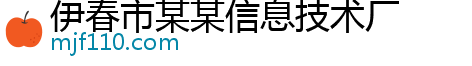 伊春市某某信息技术厂